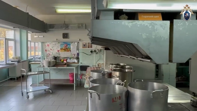 В больницах сейчас 24 ребенка, школьную столовую проверяют | Источник: Челябинский Следком / t.me