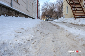 Тут точно надо пройтись трактором  | Источник: UFA1.RU / Булат Салихов