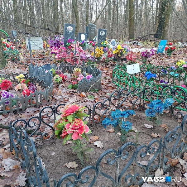 Источник: Анастасия Фокина / YA62.RU