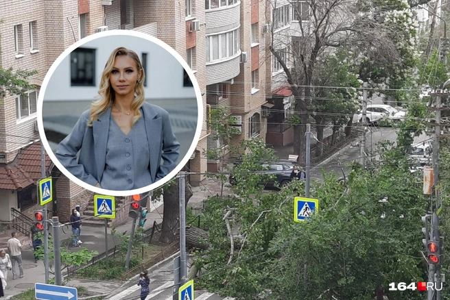Огромное упавшее дерево повредило автомобили | Источник: Денис Жабкин, из личного архива Екатерины Белоусовой