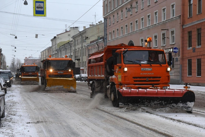 При отсутствии снега контракт будет расторгнут | Источник: Михаил Огнев / FONTANKA.RU