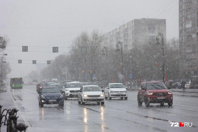 Первый снег в Тюмени прогнозируется в октябре | Источник: Ирина Шарова / 72.RU