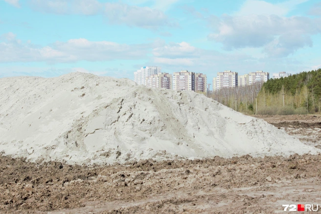 Песок завезен и совсем скоро его разровняют по берегу | Источник: Павел Красоткин / 72.RU
