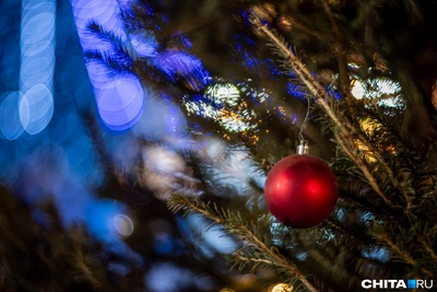 Куда сдать живую ёлку после праздников в Ярославле