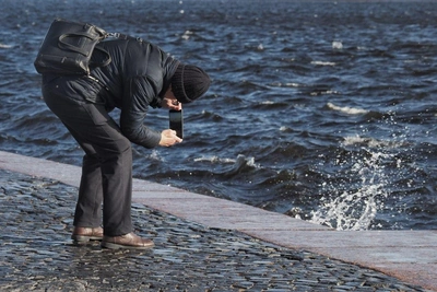 Ветер в Петербурге валит деревья и срывает шатры