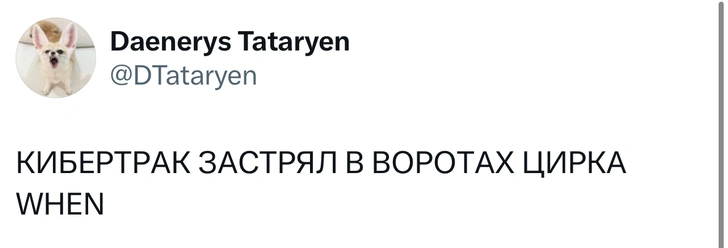 Источник: X (Twitter)
