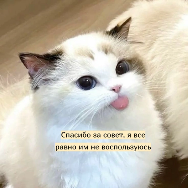 Источник: Социальные сети