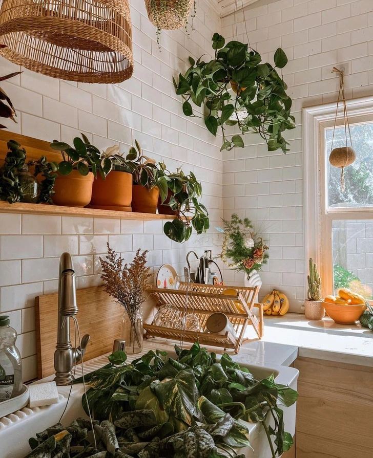 Источник: urbanjungleblog