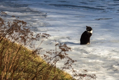 Паводок в Югре: прогноз по народным приметам