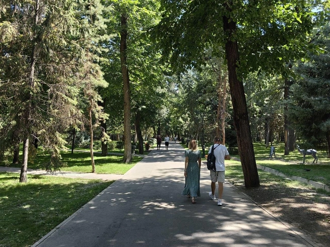 Зеленый парк в центре города. А в Тюмени такое сделать слабо?  | Источник: Павел Красоткин / 72.RU 