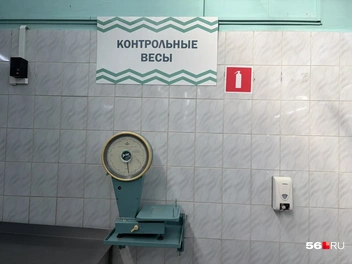 Встречают только весы | Источник: Николай Сальников / 56.RU