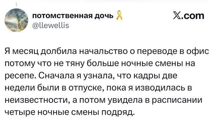 Источник: X (Twitter)
