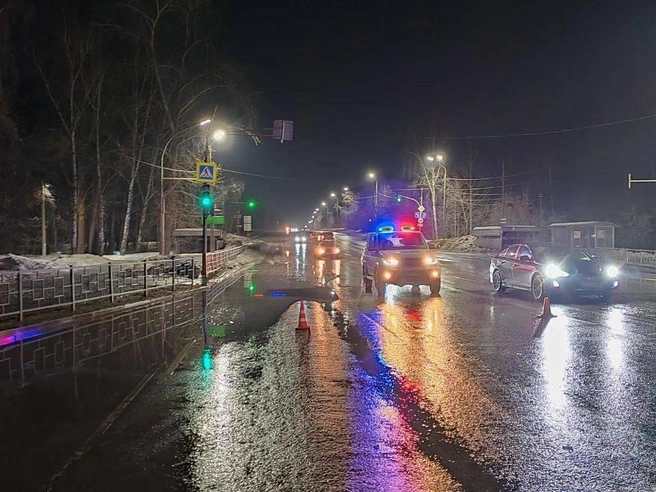 Всё произошло поздним вечером неподалеку от Новоберезовского поселка | Источник: Госавтоинспекция Свердловской области