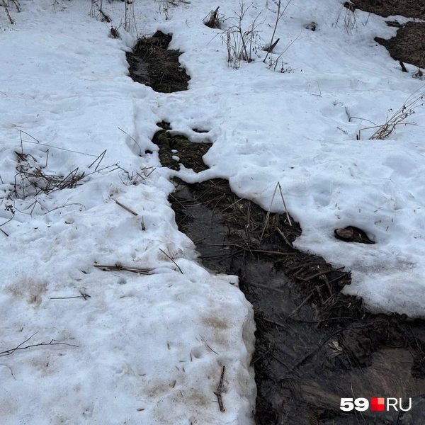 Здесь тоже протекала грязная вода, но не пахла | Источник: Наталья Пальникова / 59.RU
