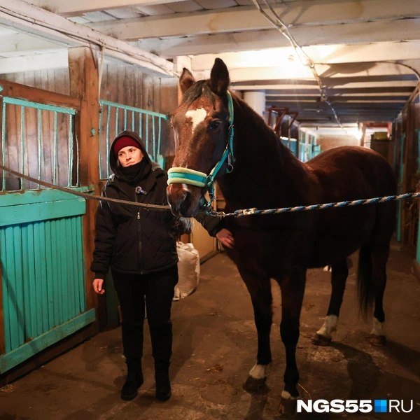 Рост у Парфенона&nbsp;— 164 сантиметра, а вес&nbsp;— около 550 килограммов | Источник: Евгений Софийчук / NGS55.RU