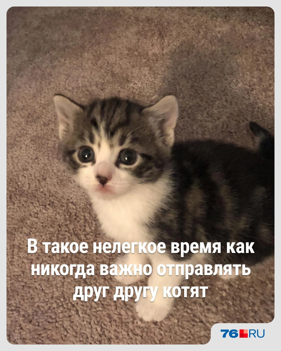 Давайте делать это чаще! | Источник: Городские медиа