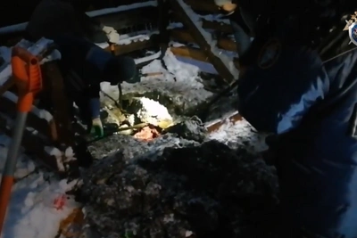 На участке маньяка в Подмосковье нашли тела двух жертв