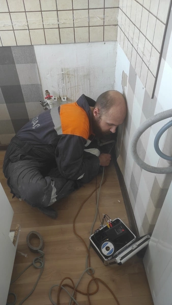 Источник: КОШКИСПАС. Спасение животных