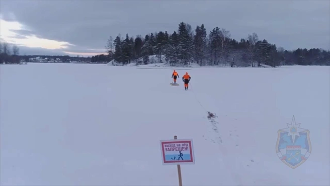 Собака провалилась в полынью на реке в Ленобласти. Спасти ее не удалось | Источник: Аварийно-спасательная служба ЛО