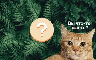 Тест: а вы бы сдали ЕГЭ по биологии? Проверьте свои силы прежде, чем ругать детей за оценки