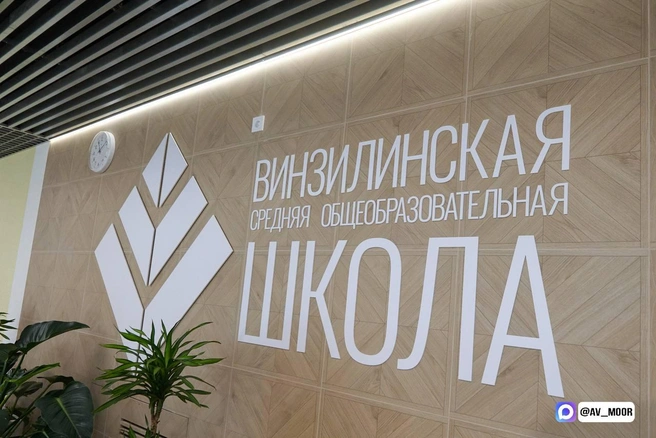Образовательное пространство | Источник: Канал в максе Александра Моора