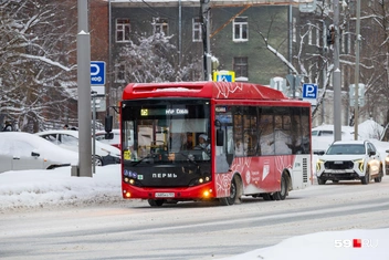 На городских маршрутах из автопарка Дениса Миронова работают автобусы малого и среднего классов вместимости | Источник: Владимир Зыкин