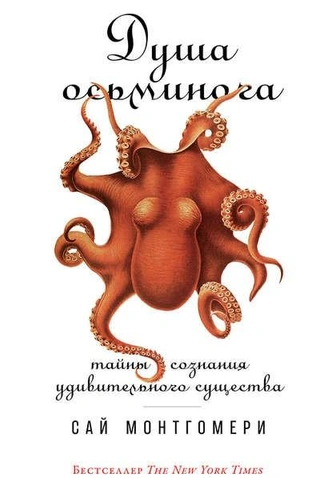 Повстречались акула, кит и осьминог: 5 книг, которые расскажут об океане и его обитателях