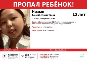 В последний раз их видели в районе улицы Колхозной в Кызыле | Источник: ПСО «СаяныСпас» / T.me