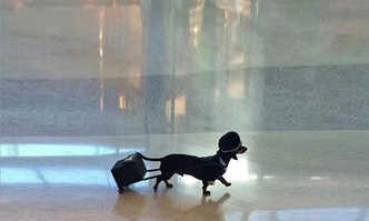 Источник: соцсети