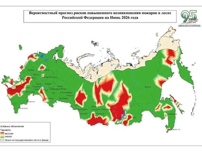 Районы Ярославской области и соседних регионов в зоне риска | Источник: ФБУ «Авиалесоохрана»