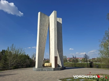 Источник: Алёна Воропаева / Voronezh1.ru