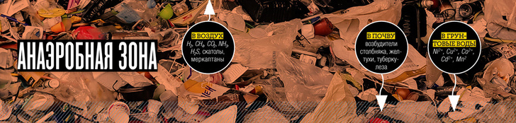 Чистая работа: как перерабатывают мусор