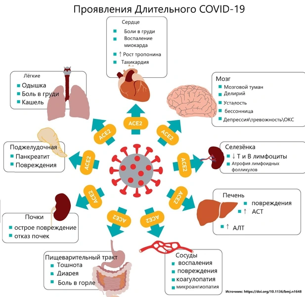 Деменция, слепота, анорексия: названы самые опасные последствия «долгого ковида»