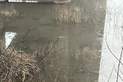 Уровень воды в реках Лунинского района под контролем