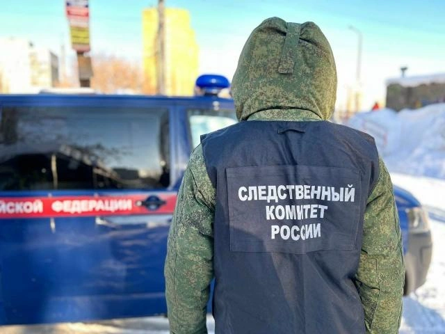 В настоящее время по факту происшествия проводится доследственная проверка | Источник: пресс-служба Центрального МСУТ СК России