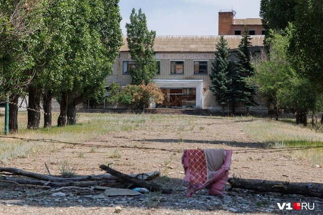 Колючая проволока — единственная преграда на пути к промзоне | Источник: Алексей Волхонский / V1.RU