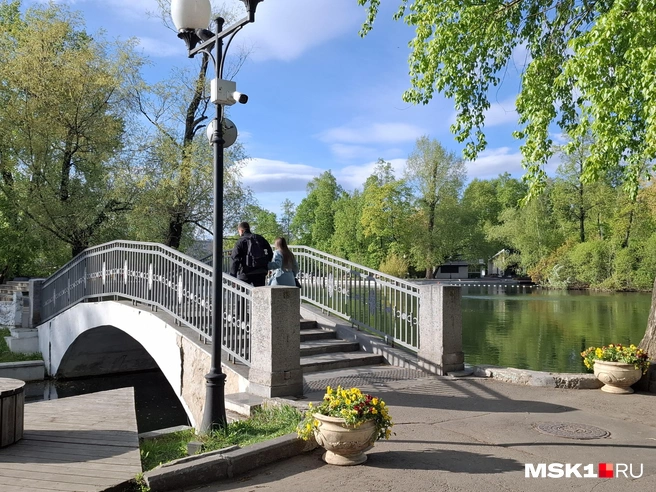 Источник: Серафима Путиева / MSK1.RU