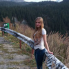 userpic__Лиса из пихтового леса
