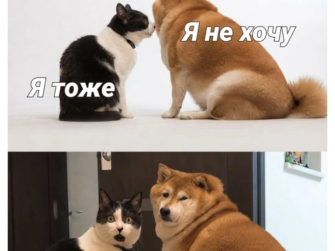 Выбор не вызывает сомнений | Источник: Полина Авдошина / Городские медиа