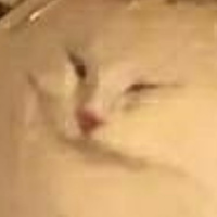 Аватарка Винесса