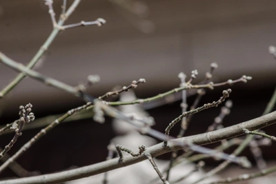 Kuban Weather: Last Warm Days Before Cooling This Week