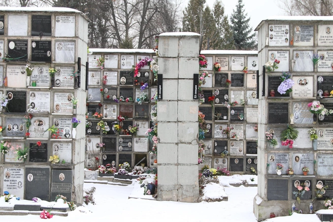 Источник: Татьяна Спиридонова / MSK1.RU