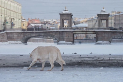Атмосферный фронт изменит погоду в Санкт-Петербурге