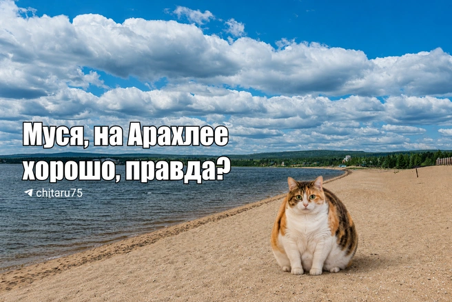 Источник: Вячеслав Палкин