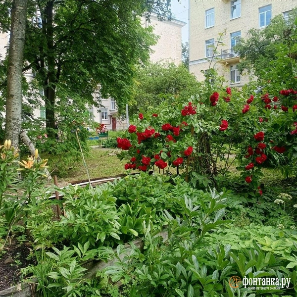Источник: Ирина Корбат / FONTANKA.RU