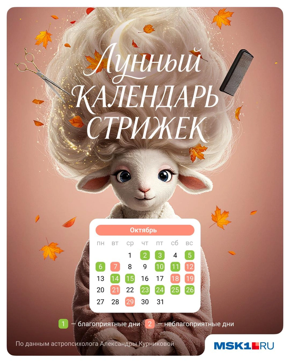 Источник: Полина Авдошина / Городские медиа