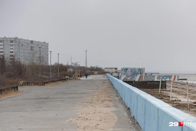 В идеале создателям хотелось бы соединить «Летний берег» с городской набережной | Источник: Иван Митюшёв / 29.RU