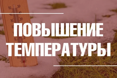 Аномальная жара ожидается во Владимирской области