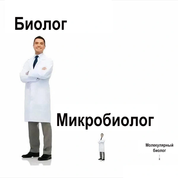 Источник: соцсети