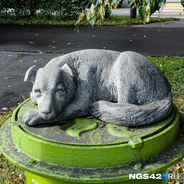 Источник: Лера Городецкая / NGS42.RU